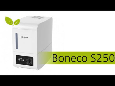 Boneco Steam Humidificateur S 250